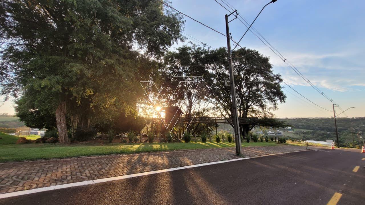 WhatsApp Image 2025-10-14 at 16.20.38