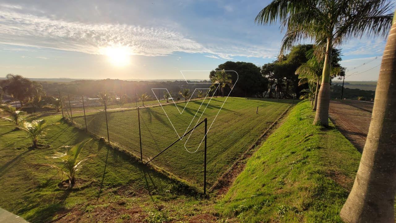 WhatsApp Image 2025-10-14 at 15.14.44